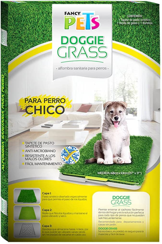 Fancy Pets Doggie Grass Chico de Entrenamiento para Perro