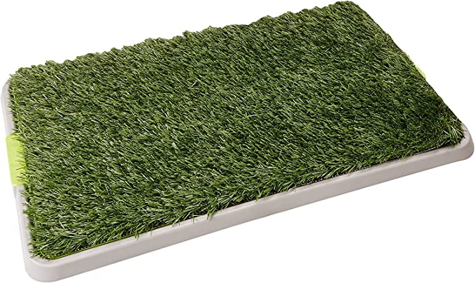 Fancy Pets Doggie Grass Chico de Entrenamiento para Perro