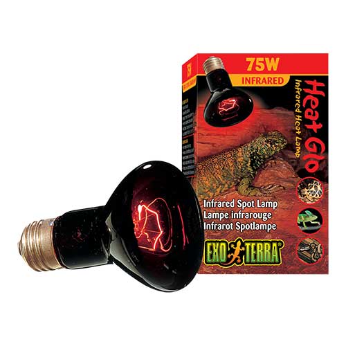 LAMPARA HEAT-GLO 75W NOCTURNA INFRARRO