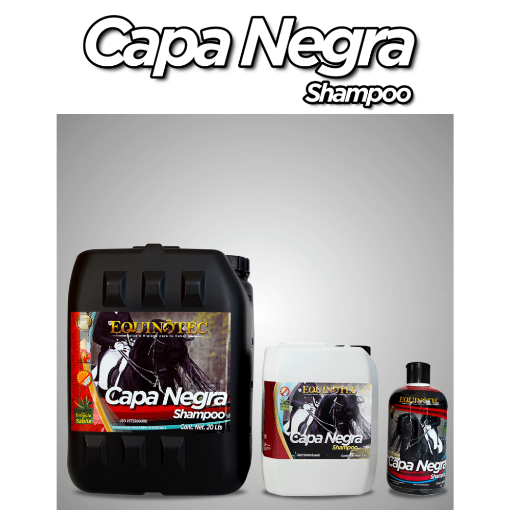 SHAMPOO CAPA NEGRA 1 LT
