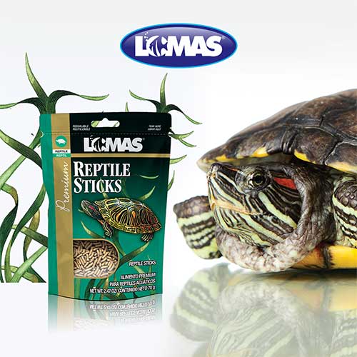 REPTILE STICKS 70 GRS.